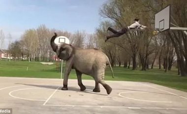 Shënon kosh të mahnitshëm, pasi hidhet në ajër nga elefanti (Video)
