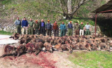 Paralajmërohet padi penale për politikanët që u fotografuan me derrat e egër të vrarë në parkun “Jasen”