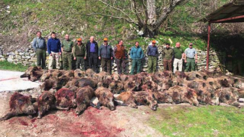 Paralajmërohet padi penale për politikanët që u fotografuan me derrat e egër të vrarë në parkun “Jasen”