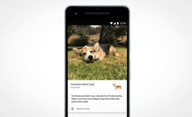 Google ndërton programin për gjetjen e racave të kafshëve