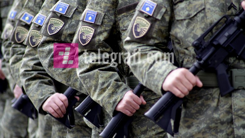 Nuk ka Ushtri të Kosovës pa ndryshime kushtetuese