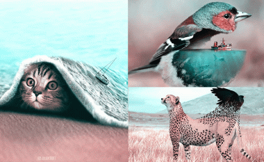 Dhjetë kafshët që nuk ekzistonin para se një artist 20-vjeçar nga Franca t’i krijonte përmes pikturave mahnitëse