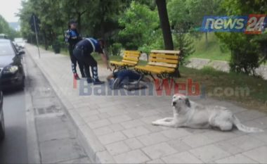 I moshuari i shtrirë pa ndjenja në mes të rrugës në Tiranë, qeni i shpëton jetën (Video)