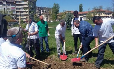 Aksion pastrimi dhe mbjellje drunjësh në disa pjesë të Prishtinës