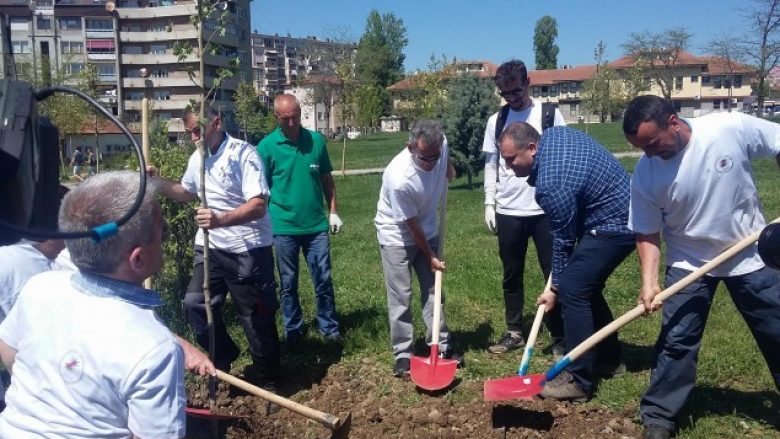 Në ditën e Tokës, Prishtina me 800 drunj më shumë