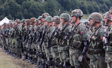 Ndikimet kombëtare dhe të huaja në uniformat e Ushtrisë së Shqipërisë!