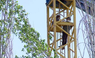 Në Tiranë çifti proteston 15 orë mbi vinç