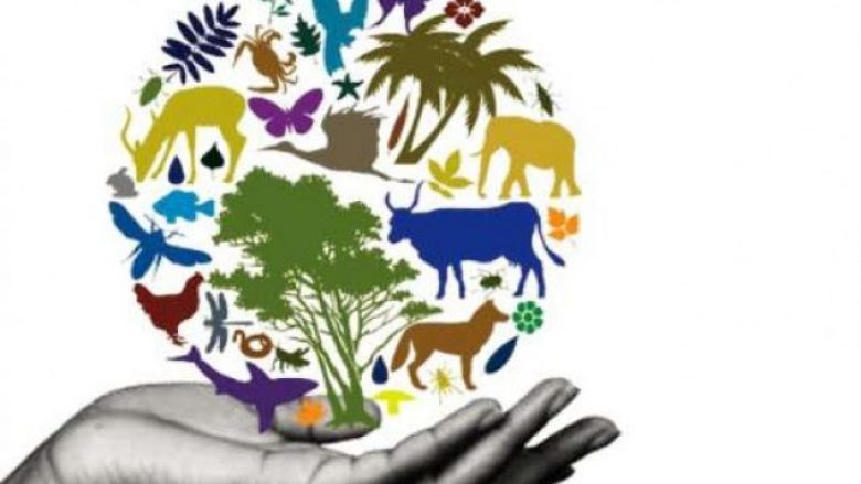 Në Kosovë shënohet Dita Botërore e Biodiversitetit