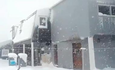 Në Gjermani bie shi i rrëmbyeshëm, në Francë borë (Video)