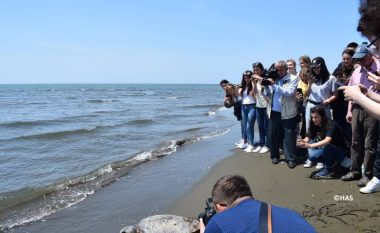 Studentë të ekologjisë në UP monitorojnë hulumtimet për breshkat detare në Shqipëri (Foto)