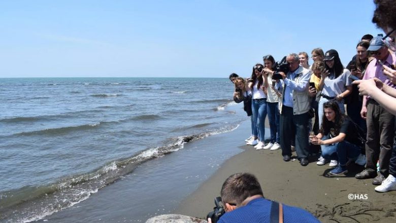 Studentë të ekologjisë në UP monitorojnë hulumtimet për breshkat detare në Shqipëri (Foto)