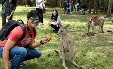 Përkundër paralajmërimit, vazhdojnë t’i ushqejnë kangurët – lëndohen keq disa nga vizitorët (Foto)
