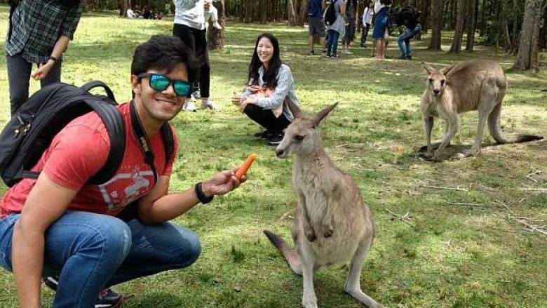 Përkundër paralajmërimit, vazhdojnë t’i ushqejnë kangurët – lëndohen keq disa nga vizitorët (Foto)