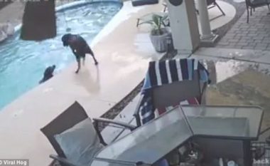 Qeni që mbytej në pishinë u ndihmua nga tjetri (Video)