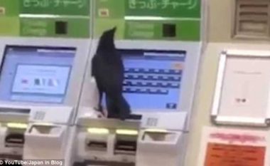 Sorra i grabiti të pranishmes kartelën e bankës, ‘provoi’ të blinte biletë treni (Video)