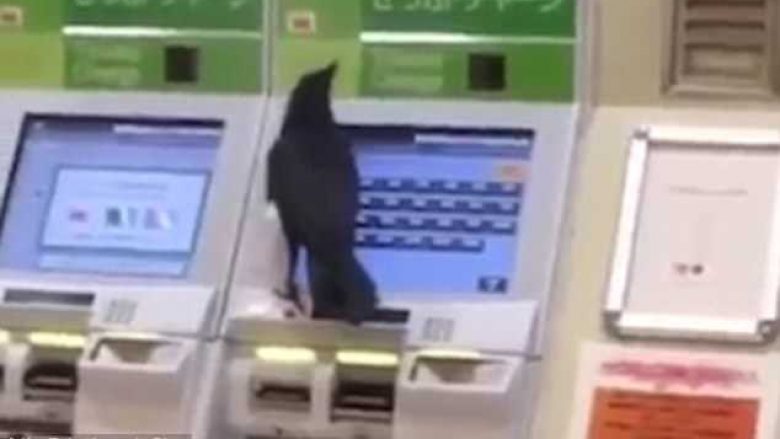 Sorra i grabiti të pranishmes kartelën e bankës, ‘provoi’ të blinte biletë treni (Video)