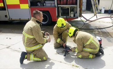 Zjarrfikësit shpëtuan pëllumbat që humbën kontrollin nga tymi (Video)