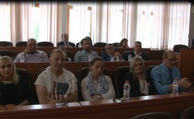 Përfaqësues të diasporës shqiptare vizituan Mitrovicën