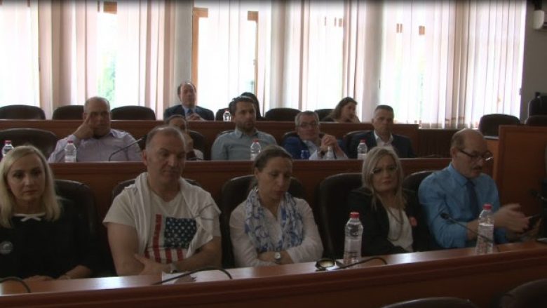 Përfaqësues të diasporës shqiptare vizituan Mitrovicën