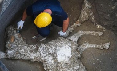 Zbulohen mbetjet e një kali garash në Pompei