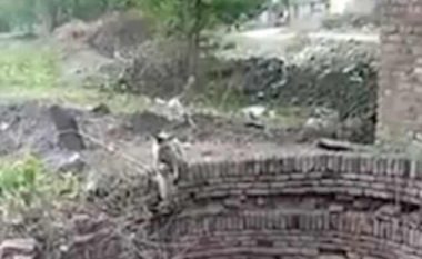 Majmuni i vogël ngec në gropën mbi 10 metra të thellë, fshatarët e shpëtojnë duke i hedhur litar (Video)