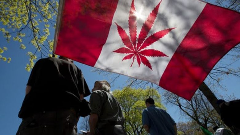 Kanadaja drejt legalizimit të marihuanës