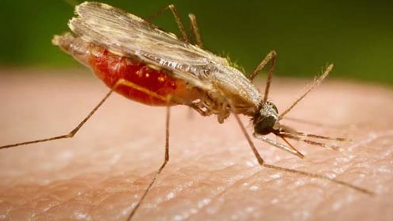Malaria, situata epidemiologjike në Kosovë nën kontroll