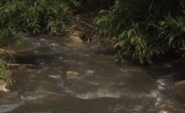 Ujërat e zeza paraqesin rrezik epidemie në lagjen Kalabria të Prishtinës (Video)
