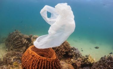Në të ardhmen në dete do të ketë më shumë plastikë se peshq