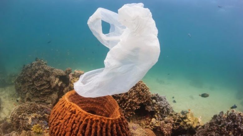 Në të ardhmen në dete do të ketë më shumë plastikë se peshq