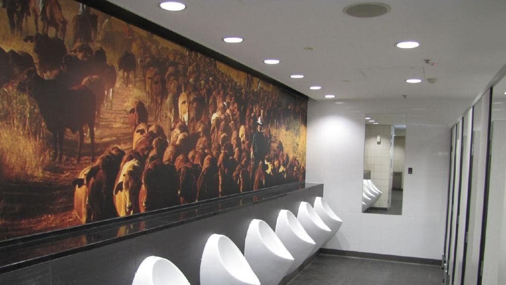 These are the six best toilets in the world (Photo+Video) Telegrafi