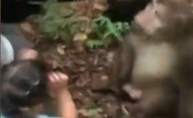 Majmuni i kopshtit zoologjik e goditi papritmas vogëlushen që po e ushqente (Video)