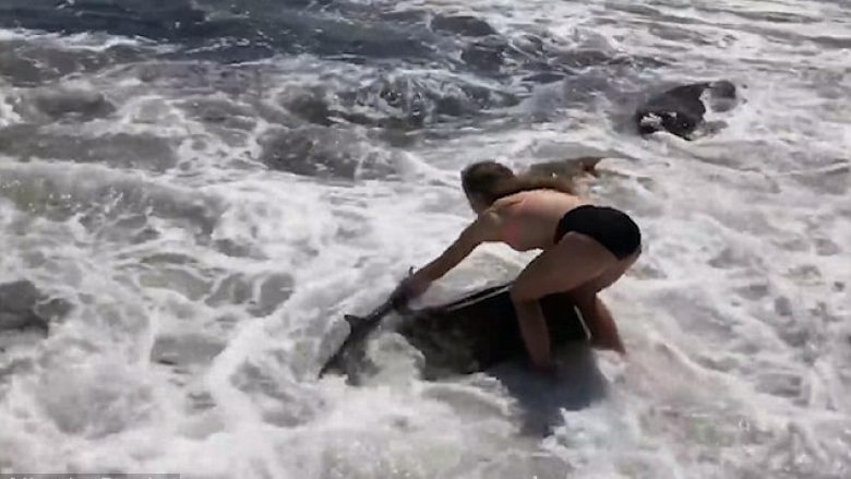 Peshkaqeni i bllokuar ndërmjet gurëve, u shpëtua nga një adoleshente e guximshme (Video)
