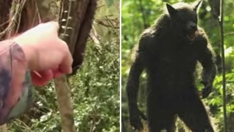“Gjysmë njeri, gjysmë qen”: Një burrë mbetet i tmerruar pasi takon bishën misterioze në mes të një pylli (Video)