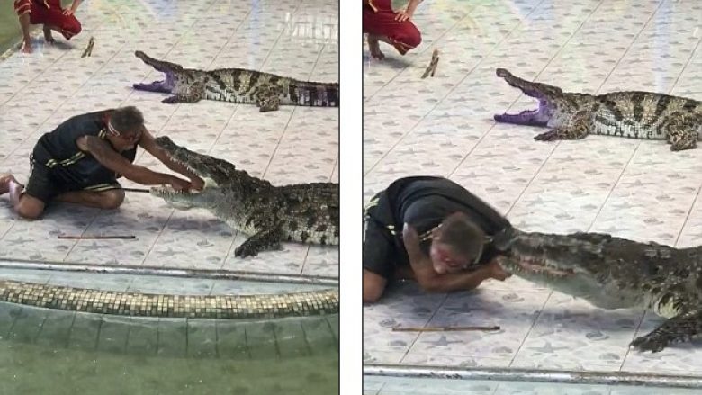 Tentoi të bënte “spektakël” duke futur krahun në gojën e krokodilit – gjithçka shkoi mirë deri kur u “trazua” bisha! (Video)