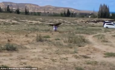 Shqiponja gjigante sulmon tetëvjeçaren, e lë të tronditur dhe me lëndime të konsiderueshme (Video)