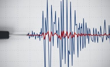 Rumania goditet nga një tërmet