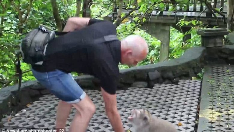Turisti u kafshua keq nga një majmun, me të cilin bëri fotografi (Video)