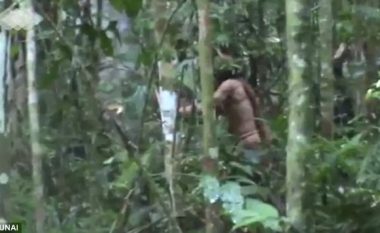 I mbijetuari i fundit i njohur i fisit amazonian filmohet duke prerë një pemë – pas 22 vitesh jete i vetmuar në xhungël (Foto/Video)