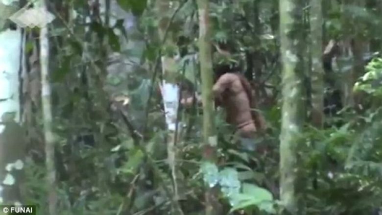 I mbijetuari i fundit i njohur i fisit amazonian filmohet duke prerë një pemë – pas 22 vitesh jete i vetmuar në xhungël (Foto/Video)