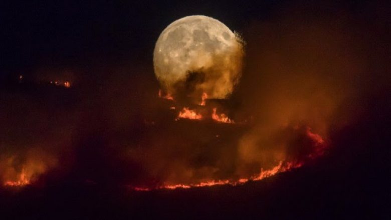 Imazhet që shënuan javën në botë (Foto)