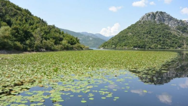 CNN shkruan për Liqenin e Shkodrës – më i jashtëzakonshmi në Evropën Jugore