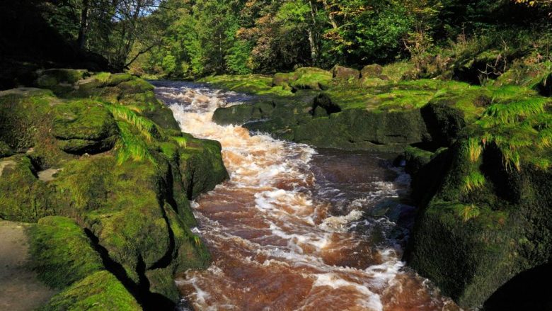 Misteri i lumit Wharfe në Britani, kushdo të futet në ujë “nuk del i gjallë” (Video)