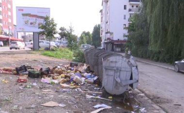 Lagjja Fidanishte e Pejës po përballet me problemin e mbeturinave (Video)