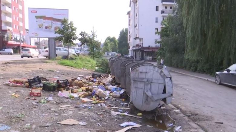 Lagjja Fidanishte e Pejës po përballet me problemin e mbeturinave (Video)