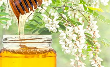 Maqedonia në “Top 3” vendet e botës sipas të ardhurave nga industria e mjaltit