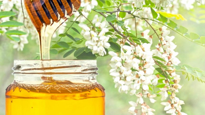 Turqia fitoi mbi 15.9 milionë dollarë nga eksporti i mjaltit