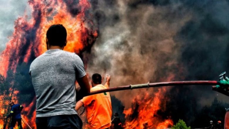 Arrin në 76 numri i viktimave nga zjarret në Greqi