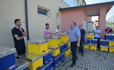 Komuna e Podujevës shpërndau 500 shoqëri bletësh për bletarët