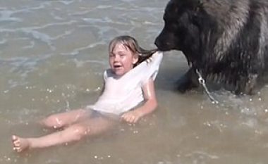 Frikësohej se vogëlushja po mbytej në det, qeni e tërhoqi për ta vënë në hapësirë të sigurt (Video)